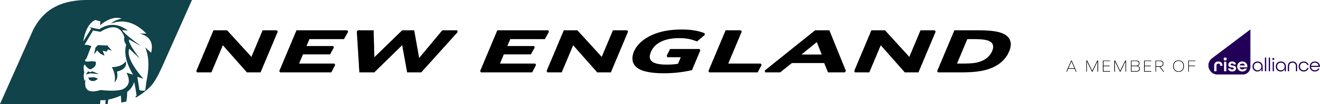 New England Virtual — A member of Rise Alliance